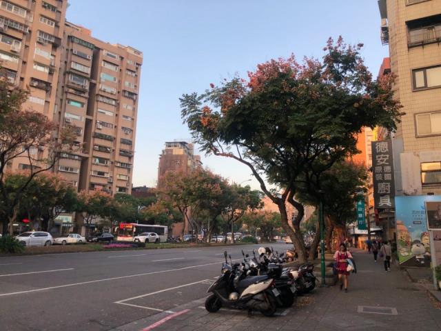 台北士林華廈法拍-2